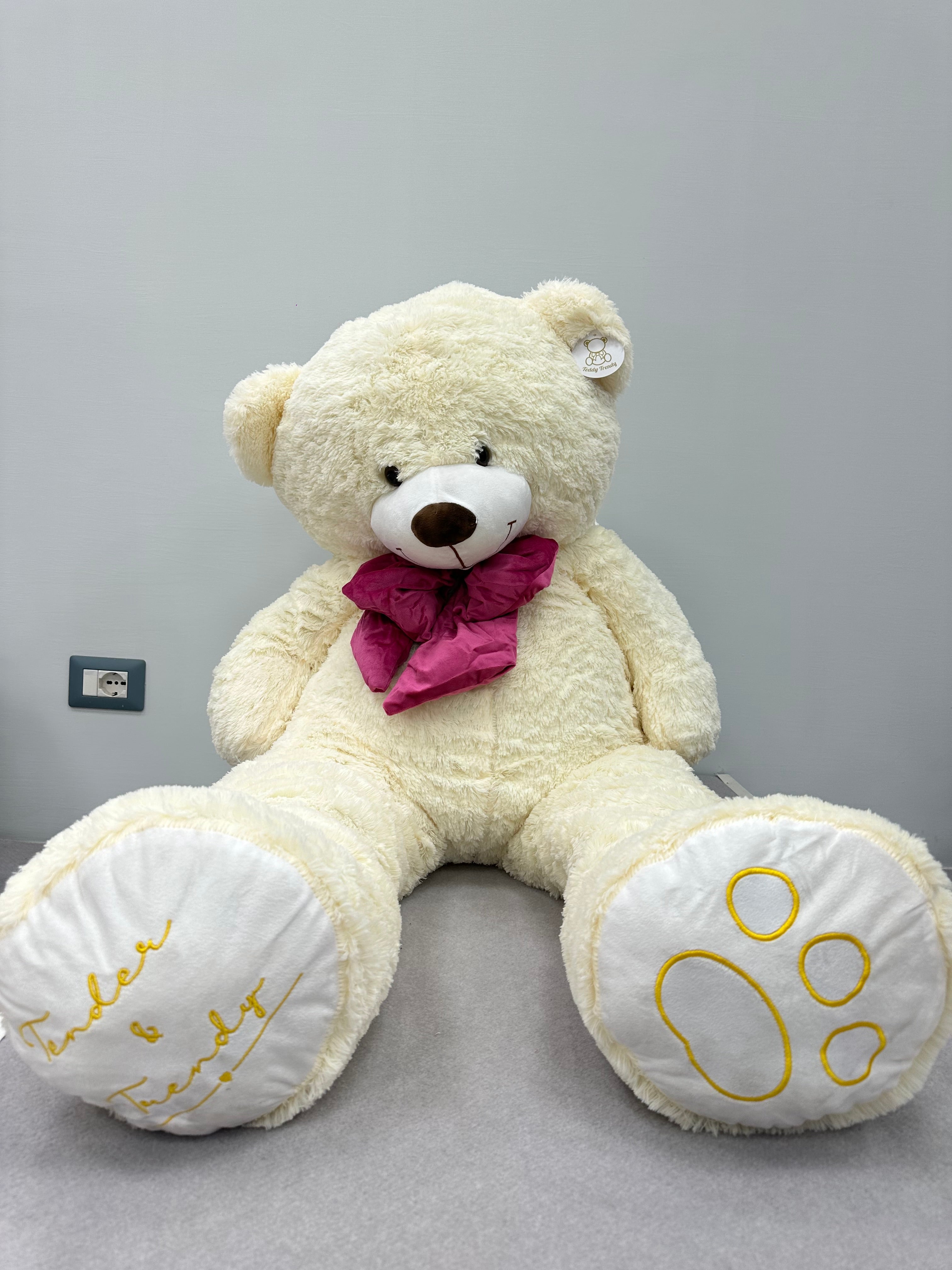Teddy Trendy Cream