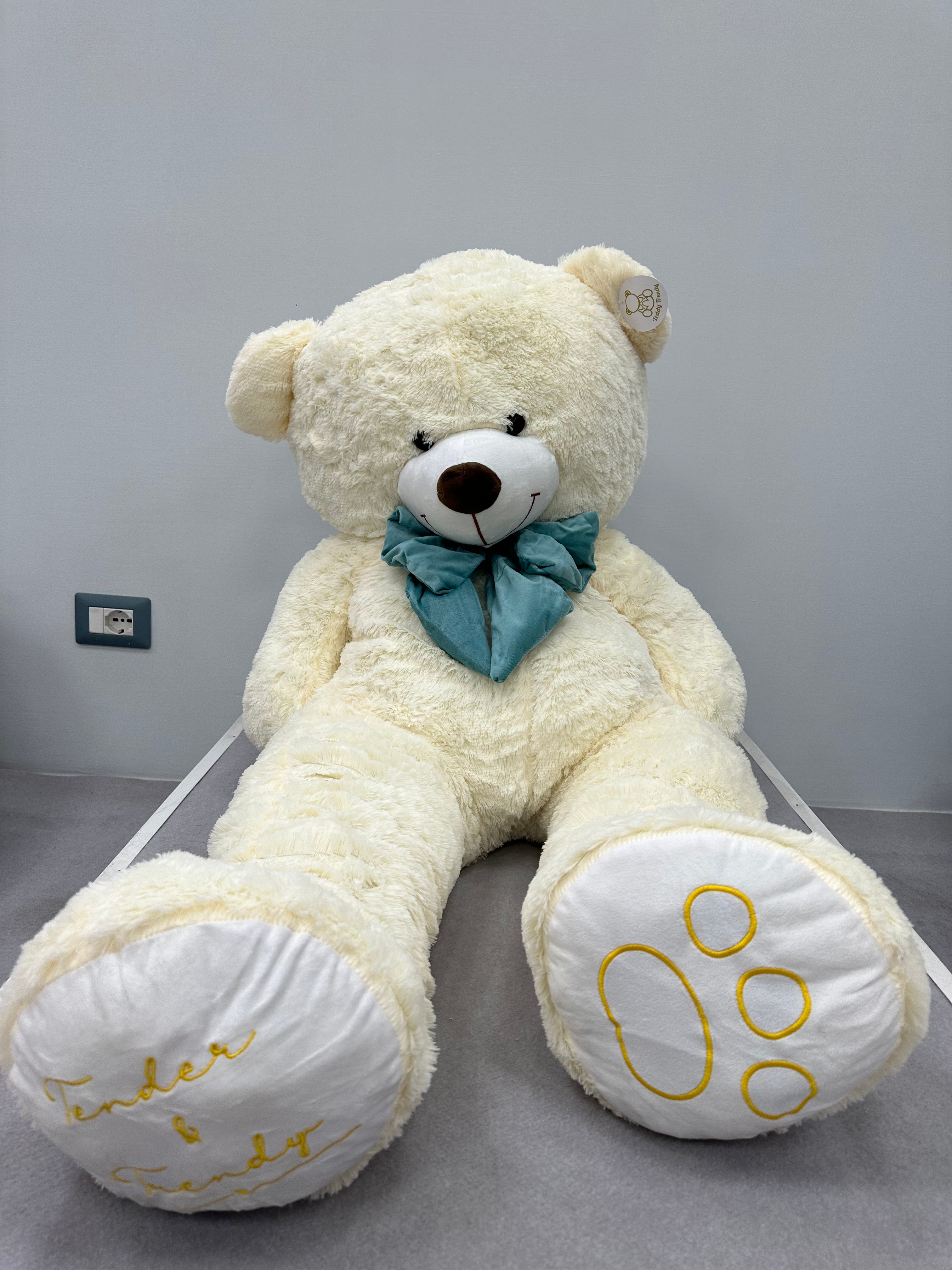 Teddy Trendy Cream