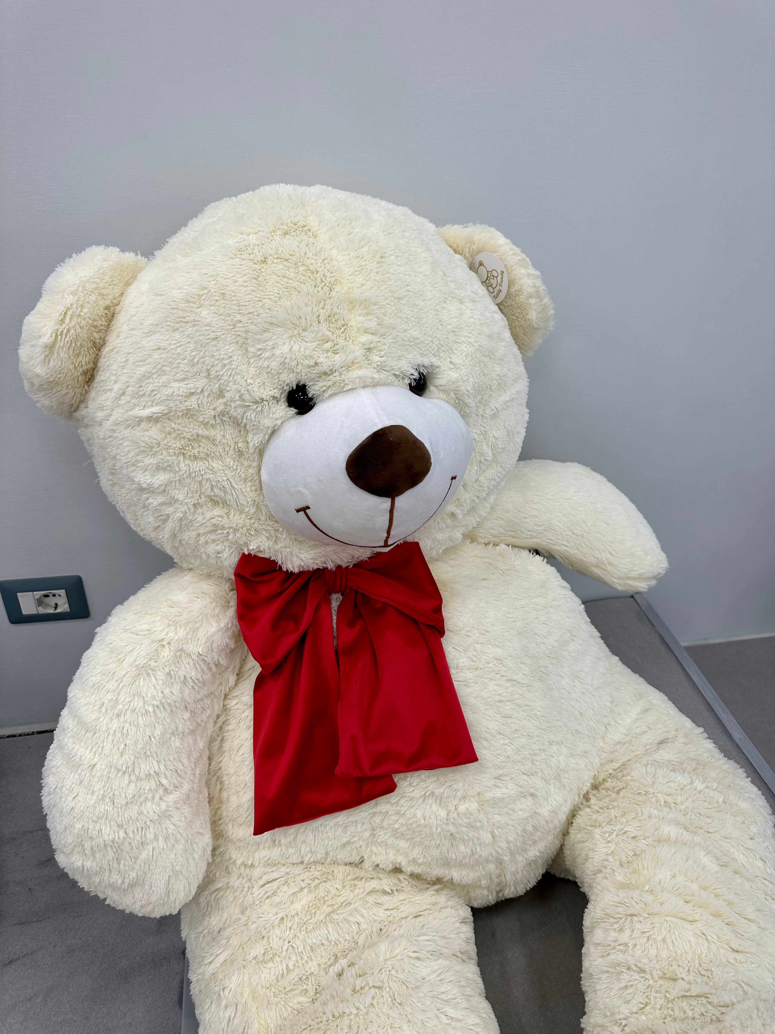 Teddy Trendy Love